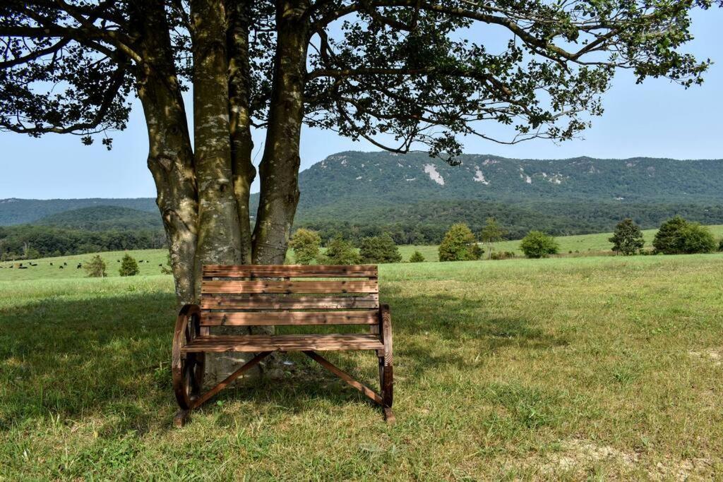 Holly Tree Retreat Located In Beautiful Luray, Va. Villa Exteriör bild