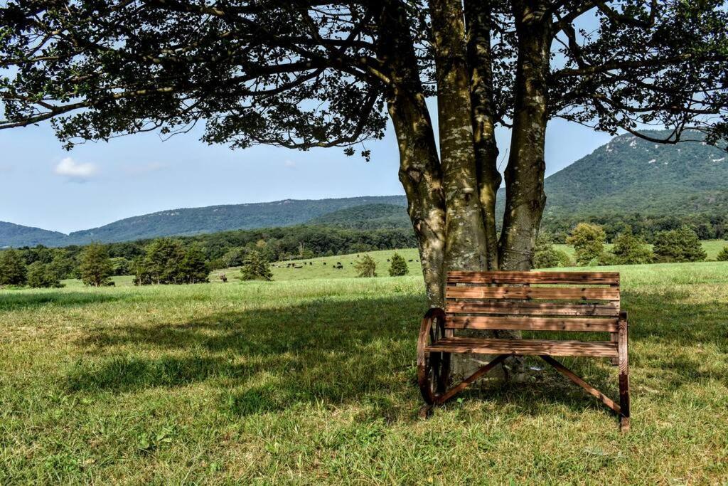 Holly Tree Retreat Located In Beautiful Luray, Va. Villa Exteriör bild