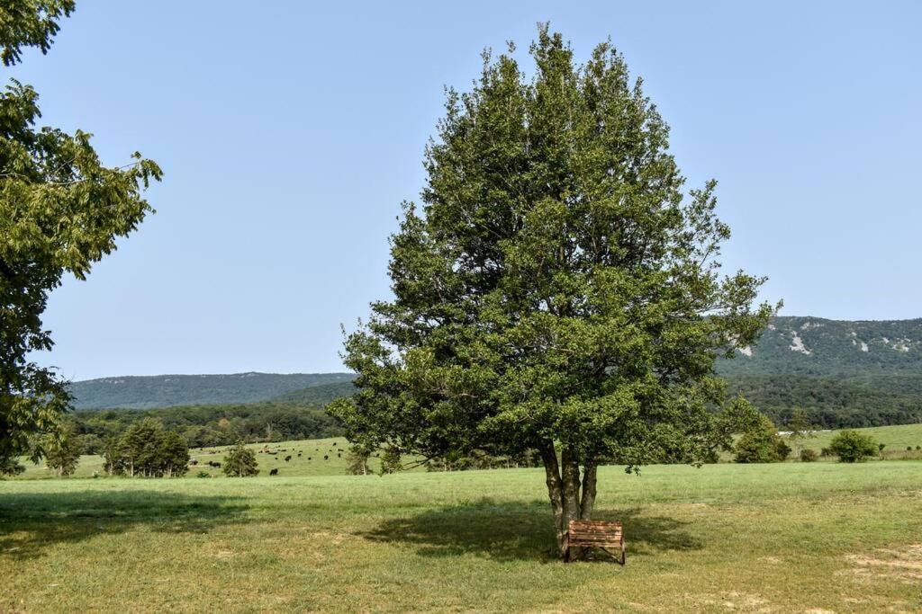 Holly Tree Retreat Located In Beautiful Luray, Va. Villa Exteriör bild